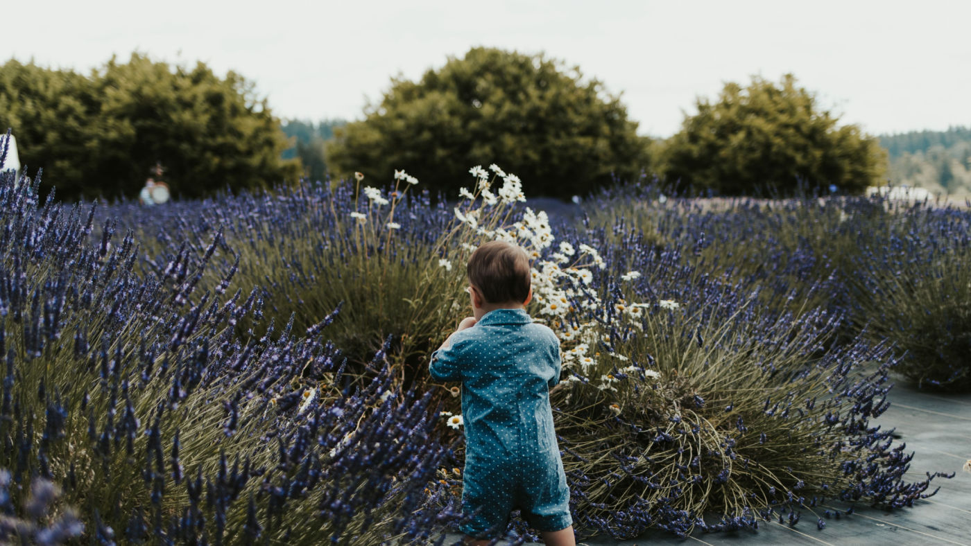 Make nature confetti with your own two hands! Developing fine motor skills outdoors - Featured Image