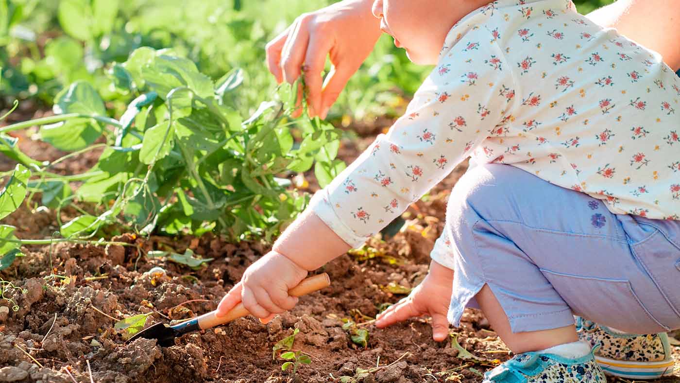 Pulling up the weeds – and strengthening finger muscles! - Featured Image