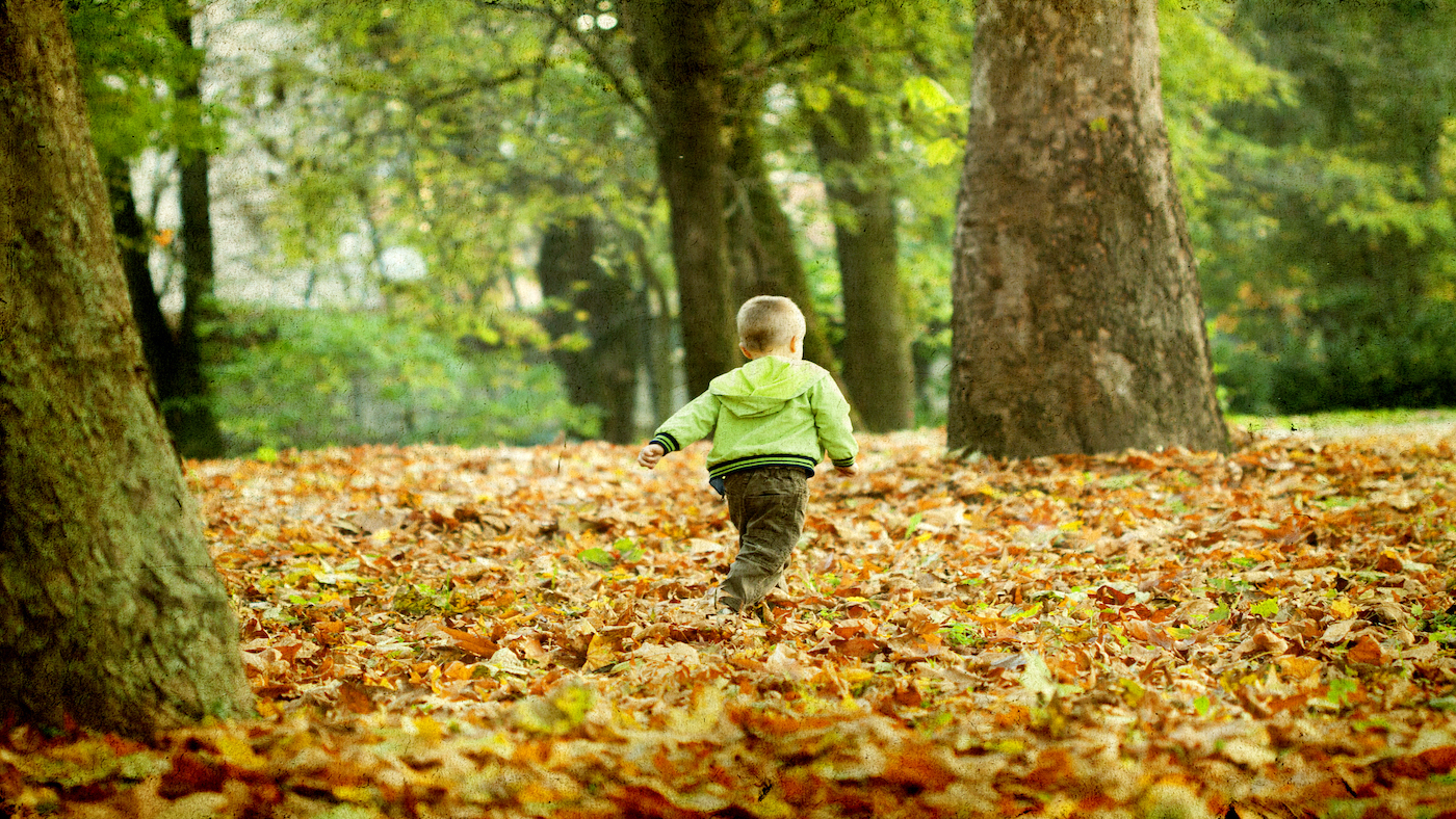 Look out for treasure! Nature hunting to explore new or tricky terrain - Featured Image