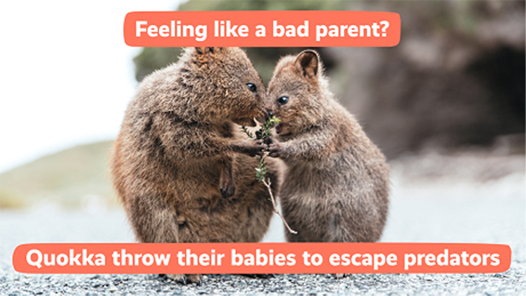 Feeling like a bad parent? - Featured Image