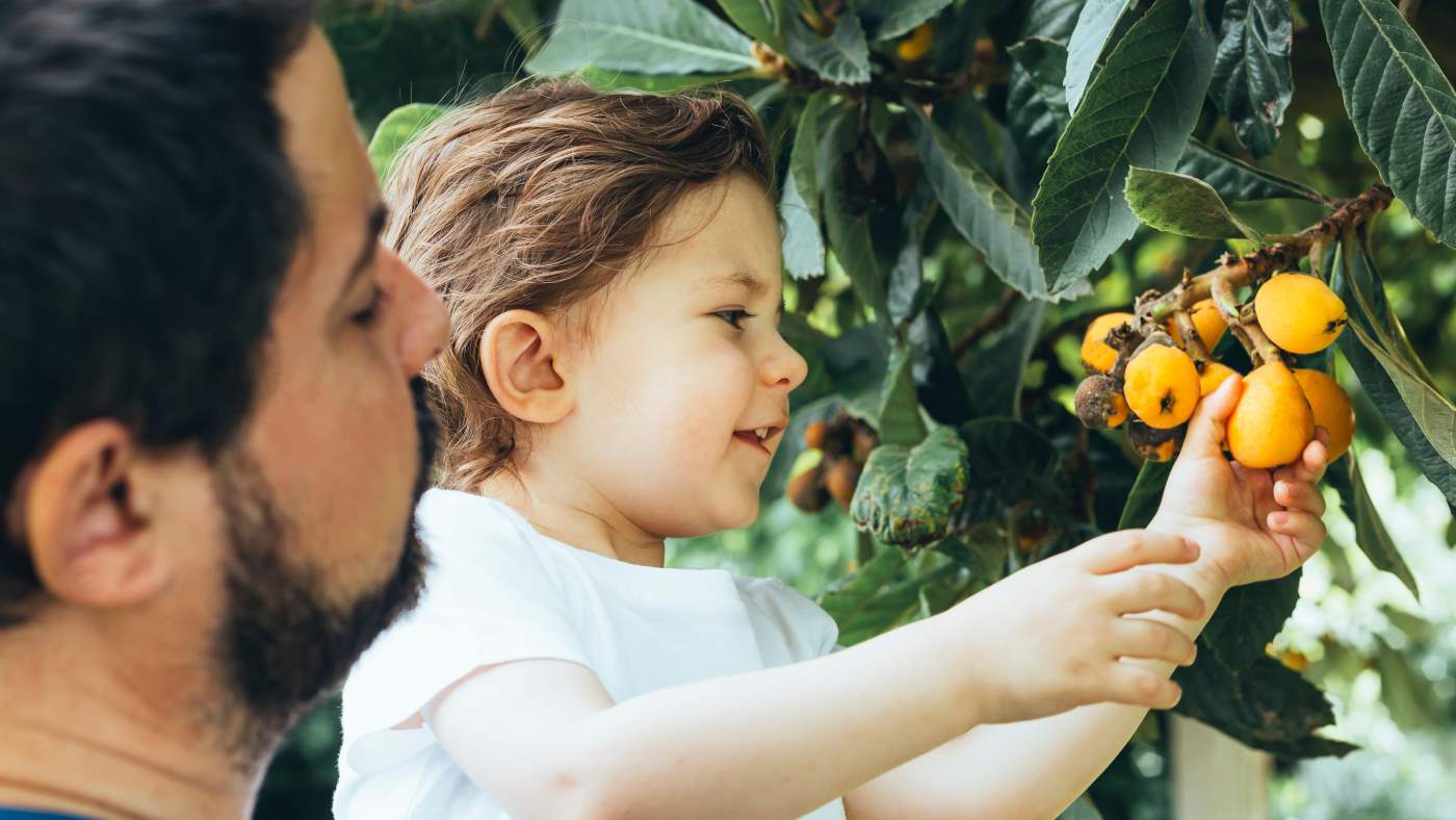 Harvest time – nature offers new and fresh ways to develop fine motor skills - Featured Image