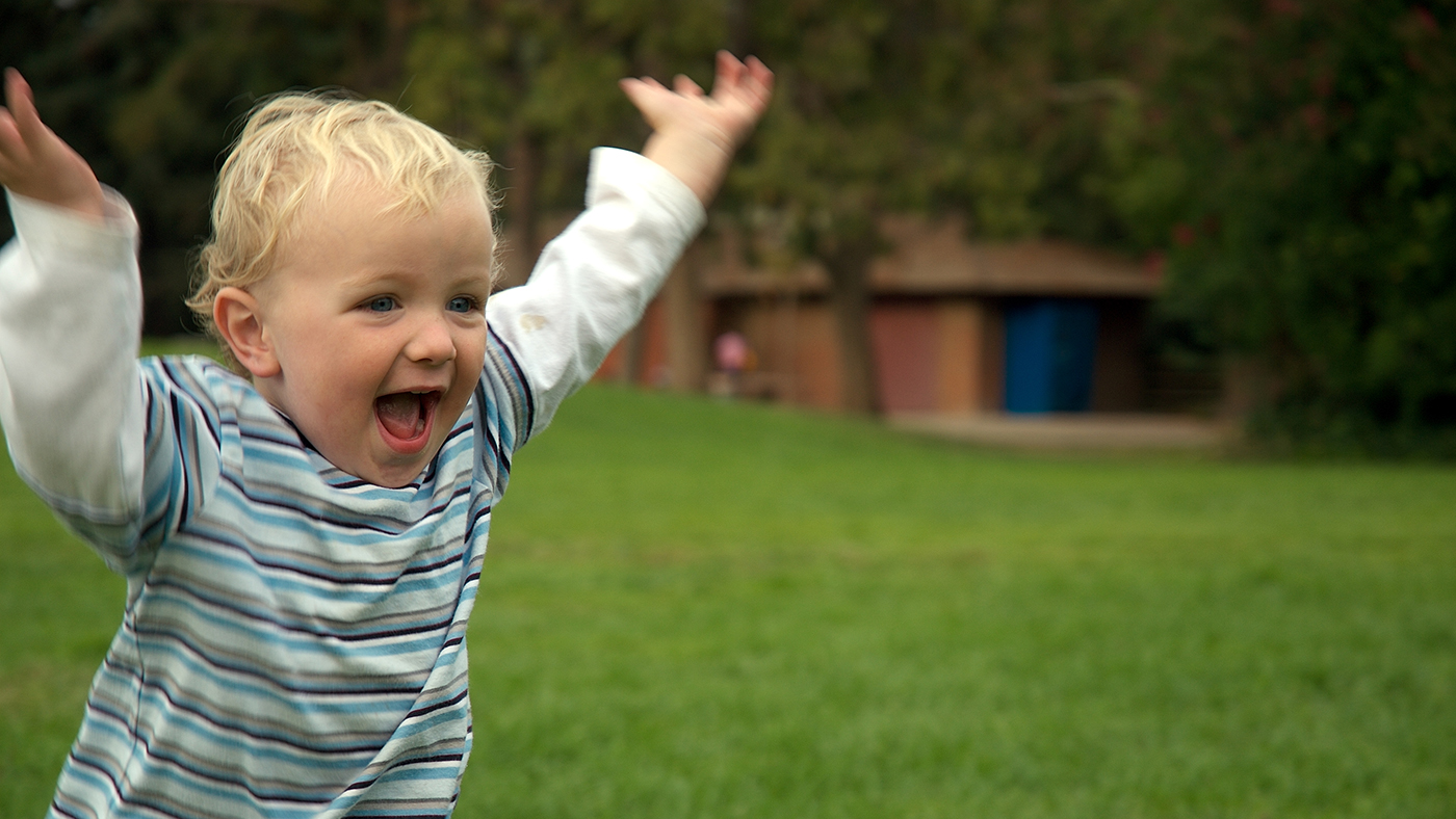 Look at me go – I can fly, land and stop - Featured Image