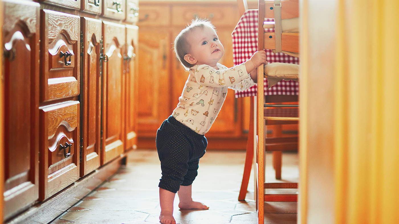 Hey! That’s my toy! Oh wow, I was sitting, now I am standing. How did that happen? - Featured Image