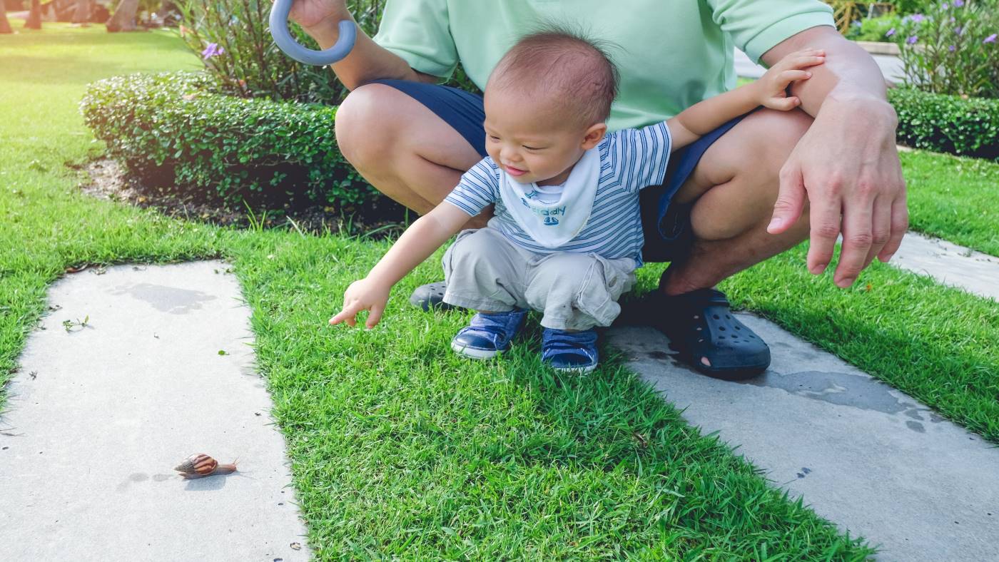 Look at this! Is your toddler using words to share their interests? - Featured Image