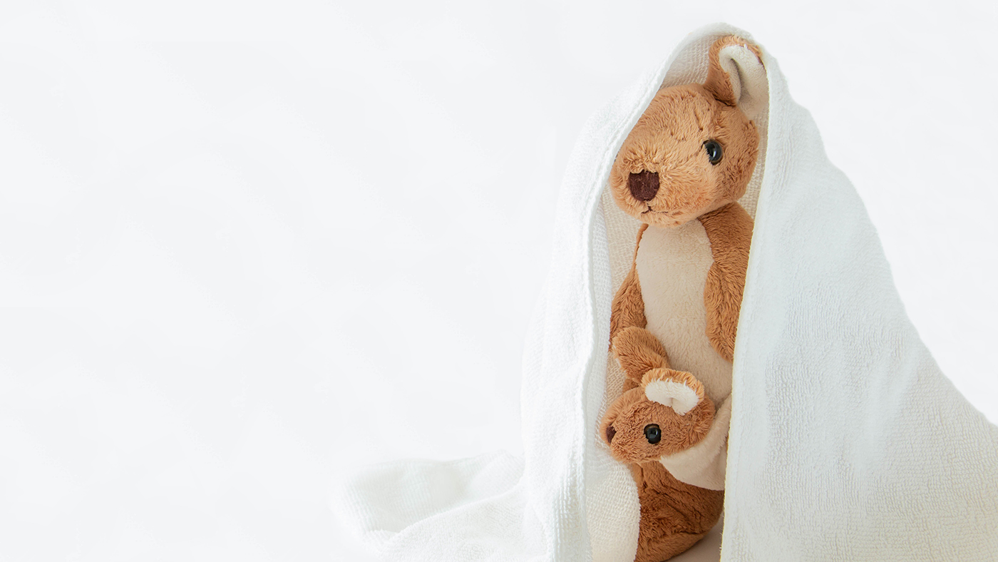 Your toy is hiding – shall we see where it has gone? - Featured Image